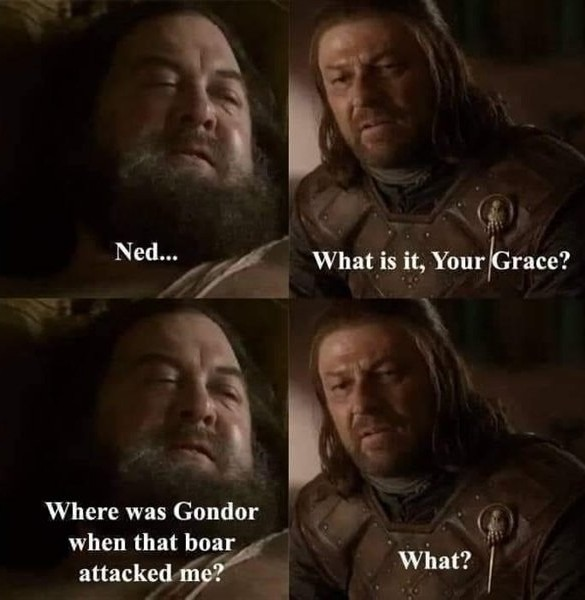 Ned... What is it, Your Grace? Where was Gondor when that boar attacked me? What?