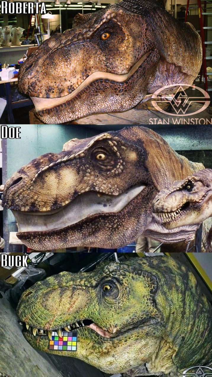ROBERTA DOE STAN WINSTON BUCK