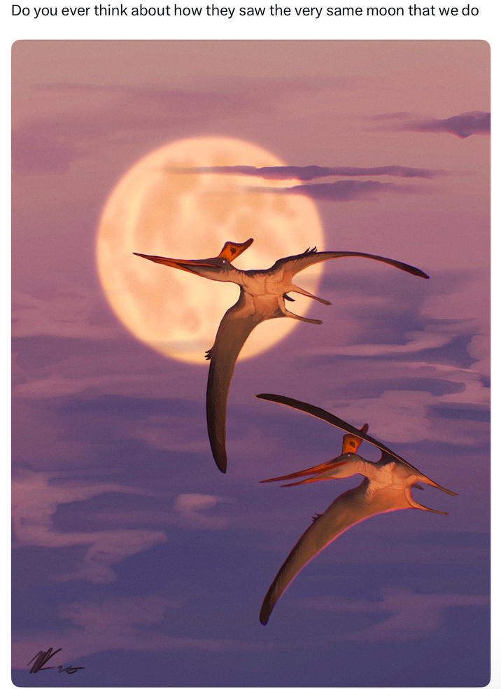 Do you ever think about how they saw the very same moon that we do