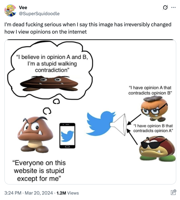 X user @SuperSquidoodle reposted the Goomba Fallacy graphic on in May 2024, writing, "I'm dead f------ serious when I say this image has irreversibly changed how I view opinions on the internet," and gathering over 30,000 likes in a year.