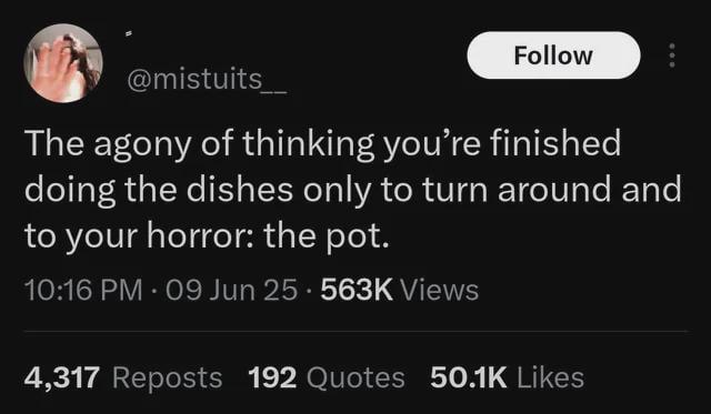 @mistuits_ Follow The agony of thinking you're finished doing the dishes only to turn around and to your horror: the pot. 10:16 PM - 09 Jun 25. 563K Views 4,317 Reposts 192 Quotes 50.1K Likes