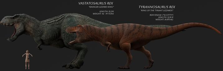 VASTATOSAURUS REX "RAVAGER LIZZARD KING" LENGTH: 15.2M WEIGHT: 16-19 TONS TYRANNOSAURUS REX "KING OF THE TYRANT LIZZARDS" RSM P2523.8 ("SCOTTY") LENGTH: 12.8 M WEIGHT: 8 870 KG RENDER BY CODARK