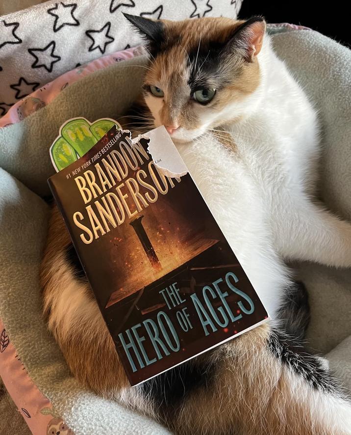 Σ Σ #1 NEW YORK TIMES BESTSELLING A BRANDON SANDERSON THE HERO OF AGES