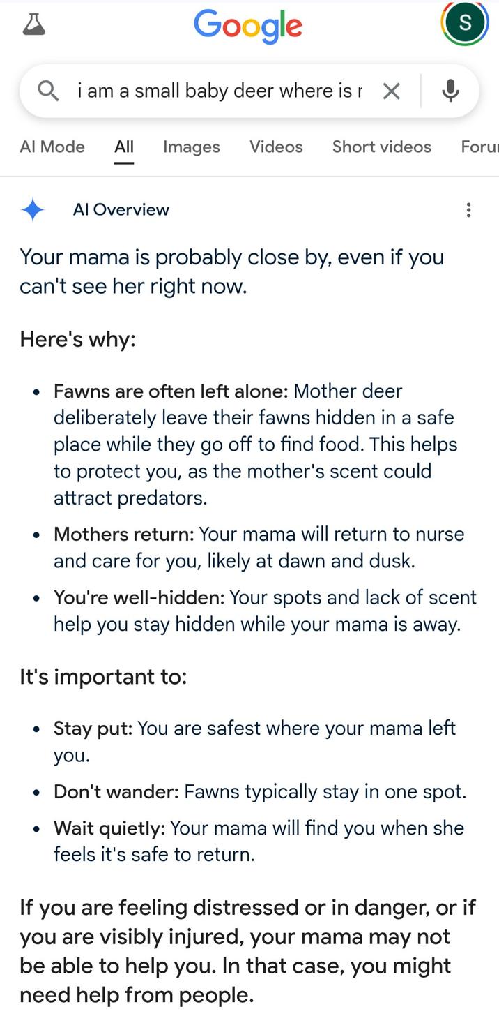 Google Q i am a small baby deer where is r X S Al Mode All Images Videos Short videos Foru Al Overview Your mama is probably close by, even if you can't see her right now. Here's why: • Fawns are often left alone: Mother deer deliberately leave their fawns hidden in a safe place while they go off to find food. This helps. to protect you, as the mother's scent could attract predators. • Mothers return: Your mama will return to nurse and care for you, likely at dawn and dusk. • You're well-hidden: Your spots and lack of scent help you stay hidden while your mama is away. It's important to: Stay put: You are safest where your mama left you. Don't wander: Fawns typically stay in one spot. • Wait quietly: Your mama will find you when she feels it's safe to return. If you are feeling distressed or in danger, or if you are visibly injured, your mama may not be able to help you. In that case, you might need help from people.