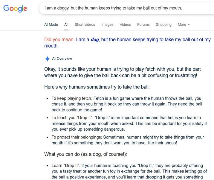 Google I am a doggy, but the human keeps trying to take my ball out of my mouth. Al Mode All Short videos Images Videos Forums Shopping More ▾ Did you mean: I am a dog, but the human keeps trying to take my ball out of my mouth. Al Overview Okay, it sounds like your human is trying to play fetch with you, but the part where you have to give the ball back can be a bit confusing or frustrating! Here's why humans sometimes try to take the ball: • To keep playing fetch: Fetch is a fun game where the human throws the ball, you chase it, and then you bring it back so they can throw it again. They need the ball back to continue the game! To teach you "Drop It": "Drop It" is an important command that helps you learn to release things from your mouth when asked. This can be important for your safety if you ever pick up something dangerous. • To protect their belongings: Sometimes, humans might try to take things from your mouth if it's something they don't want you to have, like their shoes! What you can do (as a dog, of course!): • Learn "Drop It": If your human is teaching you "Drop It," they are probably offering you a tasty treat or another fun toy in exchange for the ball. This makes letting go of the ball a positive experience, and you'll learn that dropping it gets you something
