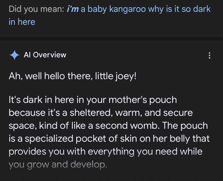 Did you mean: i'm a baby kangaroo why is it so dark in here Al Overview Ah, well hello there, little joey! It's dark in here in your mother's pouch because it's a sheltered, warm, and secure space, kind of like a second womb. The pouch is a specialized pocket of skin on her belly that provides you with everything you need while you grow and develop.
