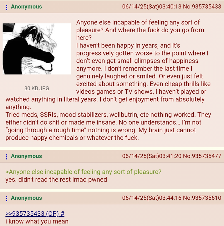 Anonymous 06/14/25(Sat)03:40:13 No.935735433 Anyone else incapable of feeling any sort of pleasure? And where the f--- do you go from here? I haven't been happy in years, and it's progressively gotten worse to the point where I don't even get small glimpses of happiness anymore. I don't remember the last time I genuinely laughed or smiled. Or even just felt excited about something. Even cheap thrills like videos games or TV shows, I haven't played or watched anything in literal years. I don't get enjoyment from absolutely anything. 30 KB JPG Tried meds, SSRIs, mood stabilizers, wellbutrin, etc nothing worked. They either didn't do s--- or made me insane. No one understands... I'm not "going through a rough time” nothing is wrong. My brain just cannot produce happy chemicals or whatever the f---. Anonymous 06/14/25(Sat)03:41:20 No.935735477 >Anyone else incapable of feeling any sort of pleasure? yes. didn't read the rest Imao pwned : Anonymous >>935735433 (OP) # i know what you mean 06/14/25(Sat)03:44:16 No.935735610