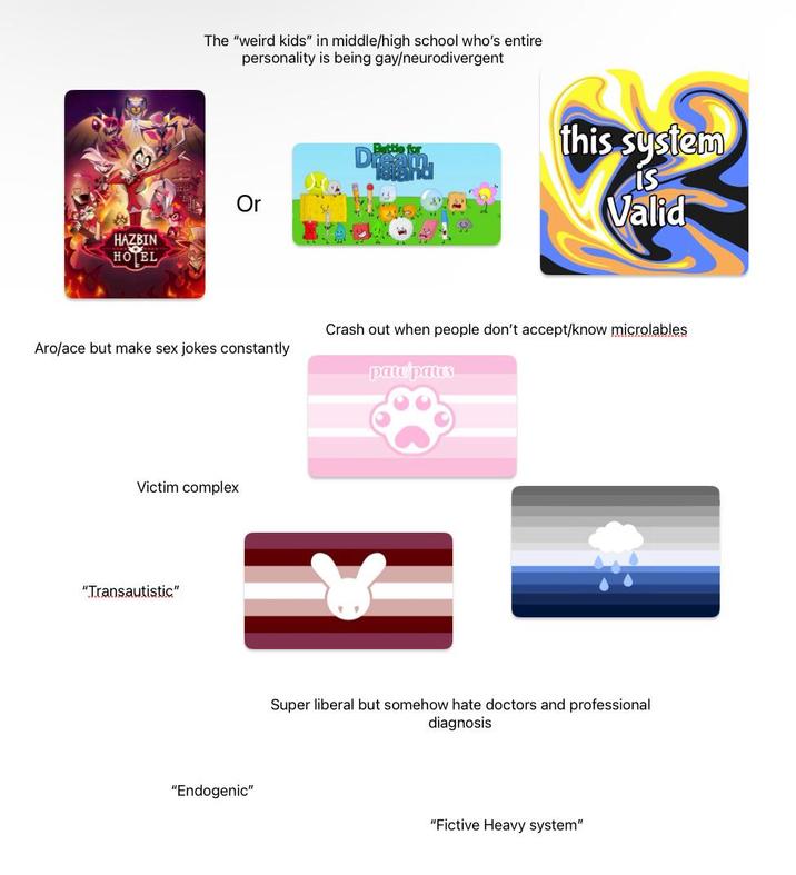 The "weird kids" in middle/high school who's entire personality is being gay/neurodivergent Or HAZBIN HOTEL this system Battle for Valid Aro/ace but make sex jokes constantly Crash out when people don't accept/know microlables paw/paws Victim complex "Transautistic" "Endogenic" Super liberal but somehow hate doctors and professional diagnosis "Fictive Heavy system"