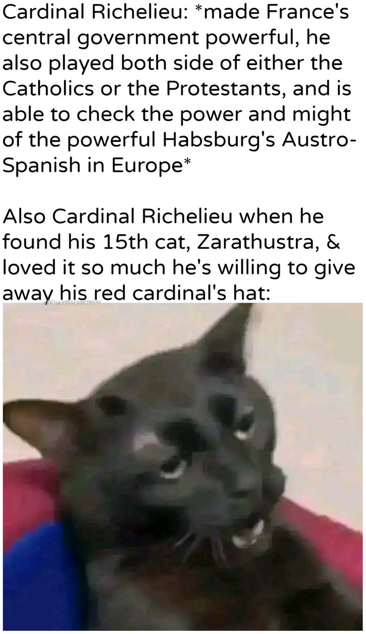 Cardinal Richelieu: *made France's central government powerful, he also played both side of either the Catholics or the Protestants, and is able to check the power and might of the powerful Habsburg's Austro- Spanish in Europe* Also Cardinal Richelieu when he found his 15th cat, Zarathustra, & loved it so much he's willing to give away his red cardinal's hat: Khantlerpartesar