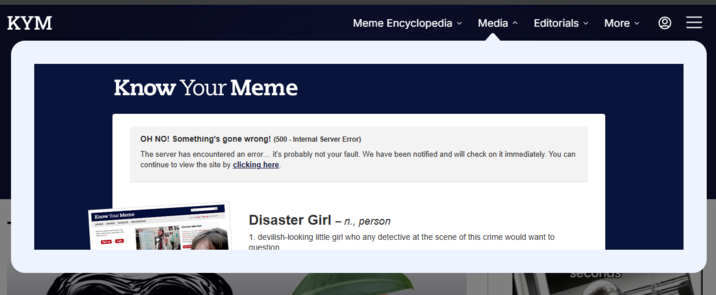 I can't even browse images anymore what the hell.