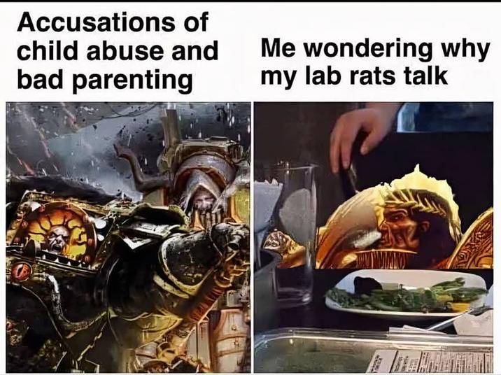 Accusations of child abuse and bad parenting Me wondering why my lab rats talk