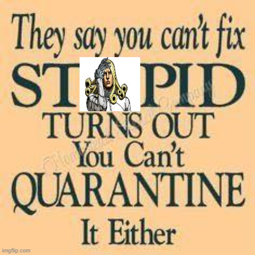 They say you can't fi PID ST TURNS OUT You Can't QUARANTINE It Either imgflip.com