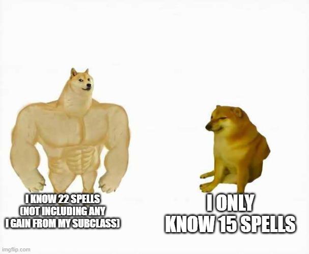 I KNOW 22 SPELLS (NOT INCLUDING ANY IGAIN FROM MY SUBCLASS] OONLY KNOW 15 SPELLS imgflip.com