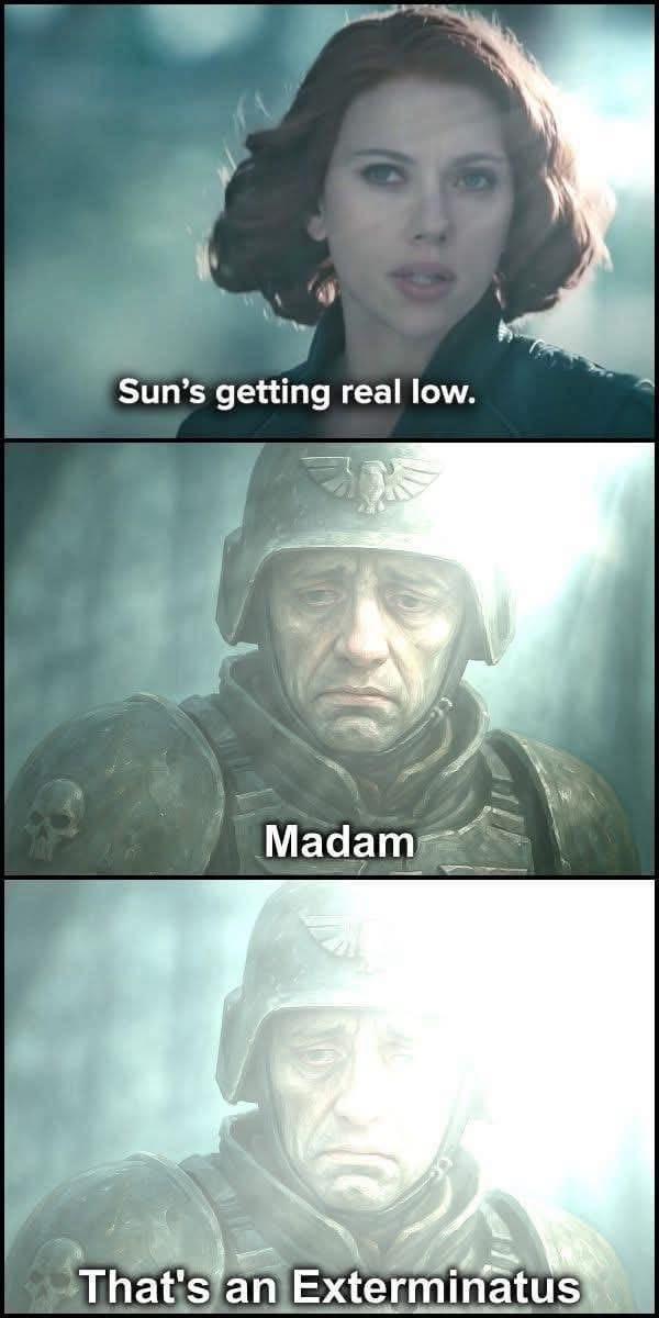 Sun's getting real low. Madam That's an Exterminatus
