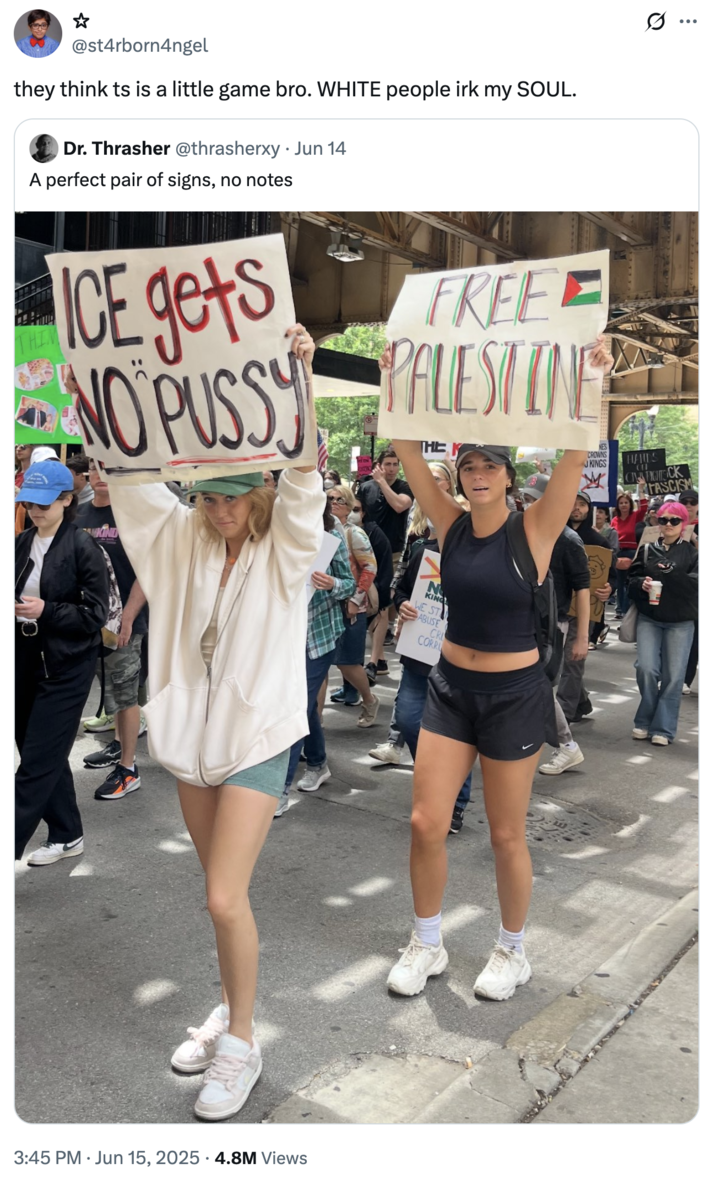 A "tweet":https://knowyourmeme.com/memes/sites/twitter-x that's critical of white people with goofy signs at the June 2025 "No Kings" protests, using the "unserious":https://knowyourmeme.com/memes/unserious-slang tone of the signs as reasoning for their ineffectiveness at protesting.