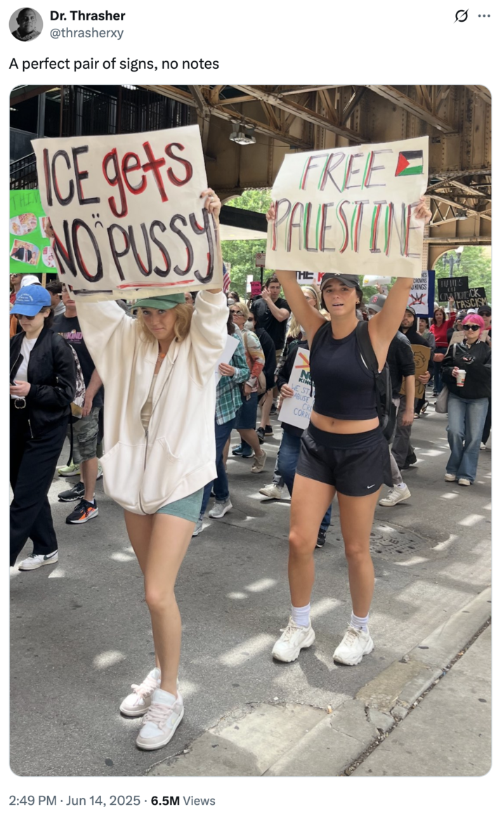 "ICE gets no p----," and ""Free Palestine":https://knowyourmeme.com/memes/free-palestine" signs at June 2025 "No Kings" protest.