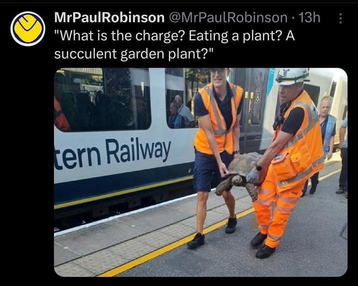 MrPaulRobinson @MrPaulRobinson · 13h "What is the charge? Eating a plant? A succulent garden plant?" tern Railway