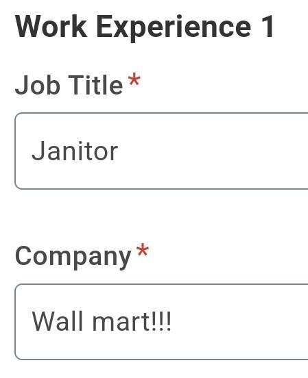 Work Experience 1 Job Title* Janitor Company Wall mart!!!