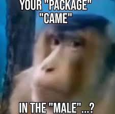 YOUR "PACKAGE "CAME" IN THE "MALE"...?