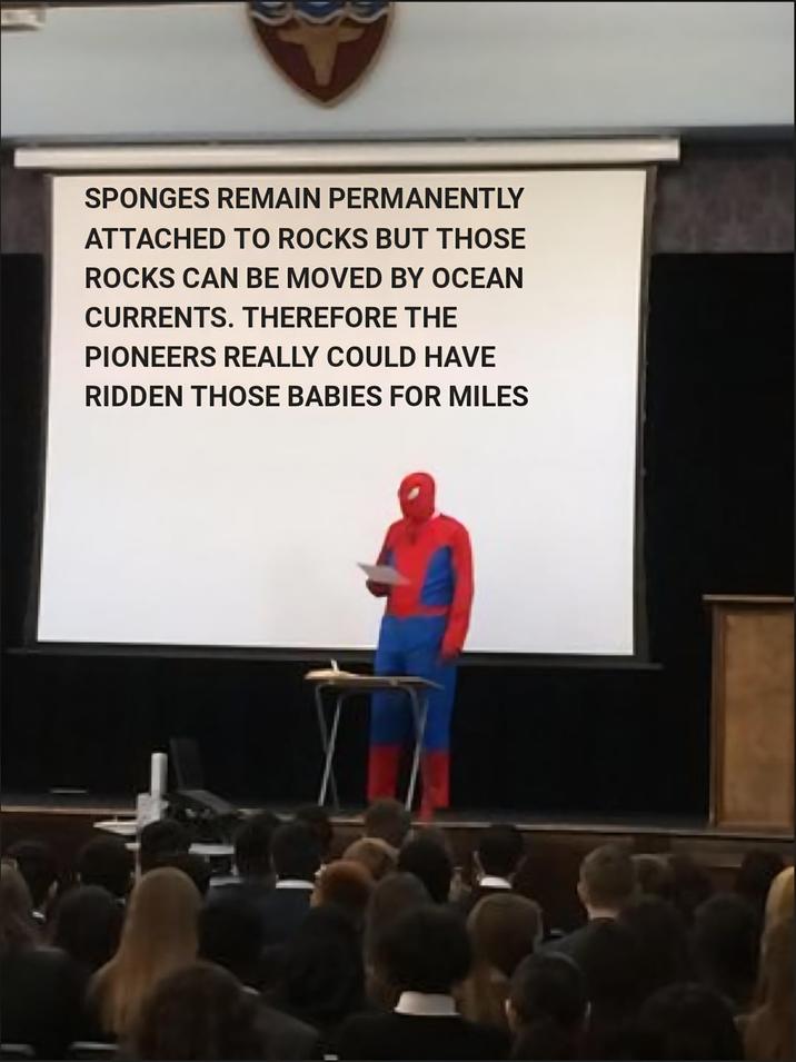SPONGES REMAIN PERMANENTLY ATTACHED TO ROCKS BUT THOSE ROCKS CAN BE MOVED BY OCEAN CURRENTS. THEREFORE THE PIONEERS REALLY COULD HAVE RIDDEN THOSE BABIES FOR MILES