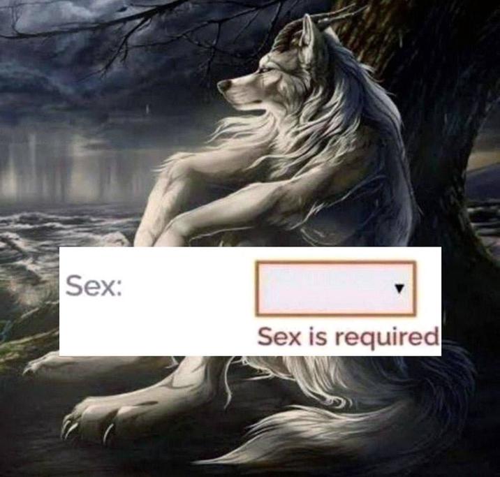Sex: Sex is required