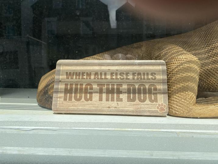 WHEN ALL ELSE FAILS HUG THE DOC