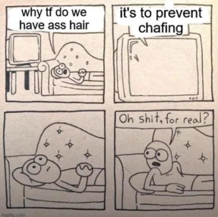 why tf do we have ass hair it's to prevent chafing imgflp.com - Oh s---, for real? X t