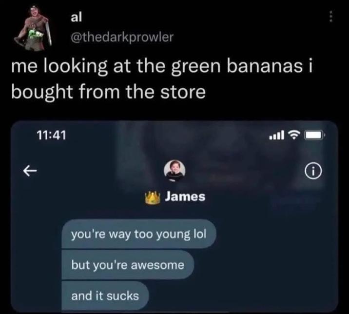 al @thedarkprowler me looking at the green bananas i bought from the store 11:41 K James you're way too young lol but you're awesome and it sucks