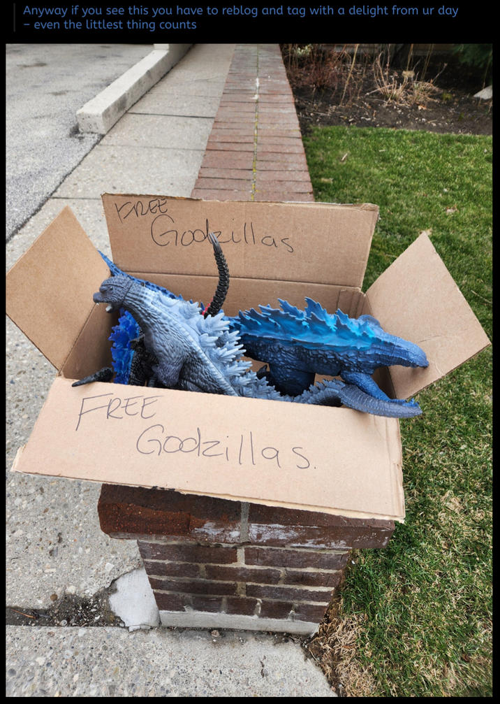 Anyway if you see this you have to reblog and tag with a delight from ur day - even the littlest thing counts FREE Godzillas FREE Godzillas