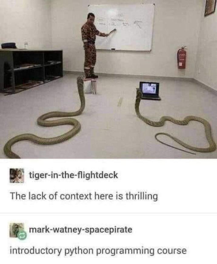 tiger-in-the-flightdeck The lack of context here is thrilling mark-watney-spacepirate introductory python programming course