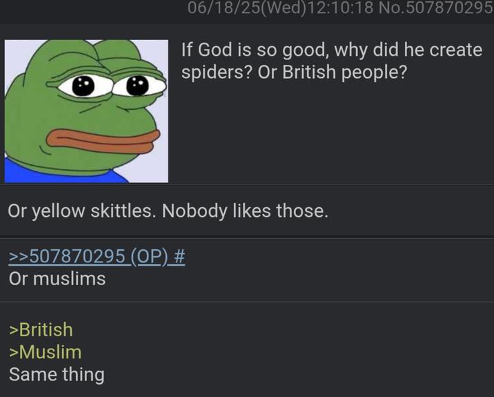 06/18/25(Wed)12:10:18 No.50787029 If God is so good, why did he create spiders? Or British people? Or yellow skittles. Nobody likes those. >>507870295 (OP) # Or muslims >British >Muslim Same thing