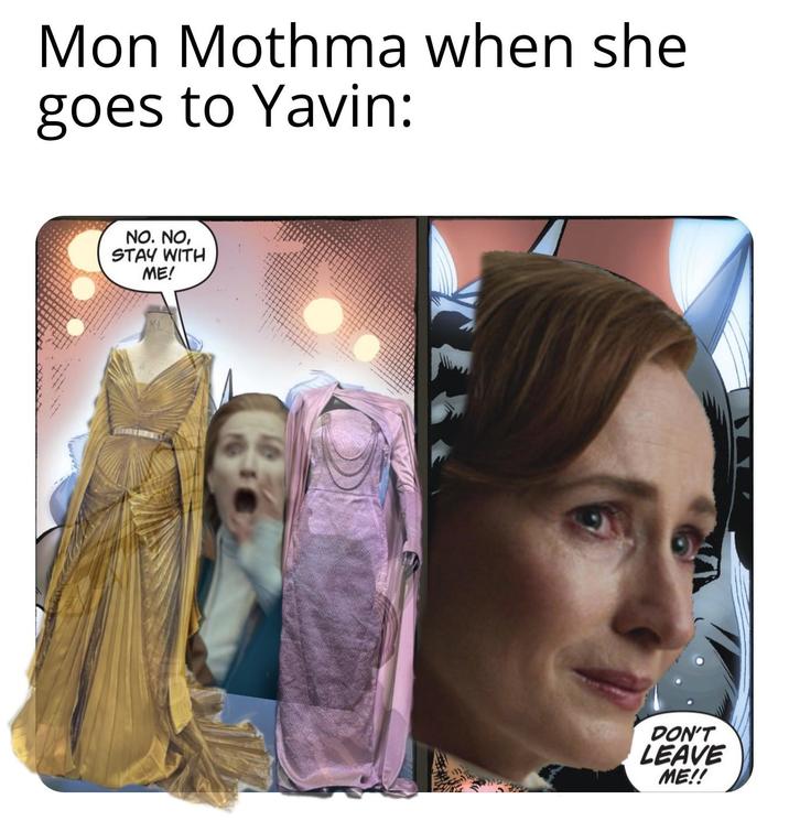 Mon Mothma when she goes to Yavin: NO. NO, STAY WITH ME! DON'T LEAVE ME!!