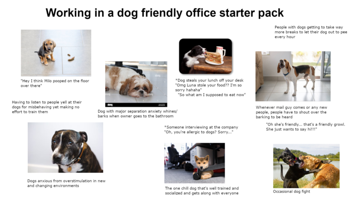 Working in a dog friendly office starter pack People with dogs getting to take way more breaks to let their dog out to pee every hour alamy alamy "Hey I think Milo pooped on the floor over there" Having to listen to people yell at their dogs for misbehaving yet making no effort to train them alamy alamy alamu *Dog steals your lunch off your desk "Omg Luna stole your food?? I'm so sorry hahaha" Dog with major separation anxiety whines/ barks when owner goes to the bathroom "So what am I supposed to eat now" *Someone interviewing at the company "Oh, you're allergic to dogs? Sorry..." Whenever mail guy comes or any new people, people have to shout over the barking to be heard "Oh she's friendly... that's a friendly growl. She just wants to say hi!!!" Dogs anxious from overstimulation in new and changing environments The one chill dog that's well trained and socialized and gets along with everyone Occasional dog fight