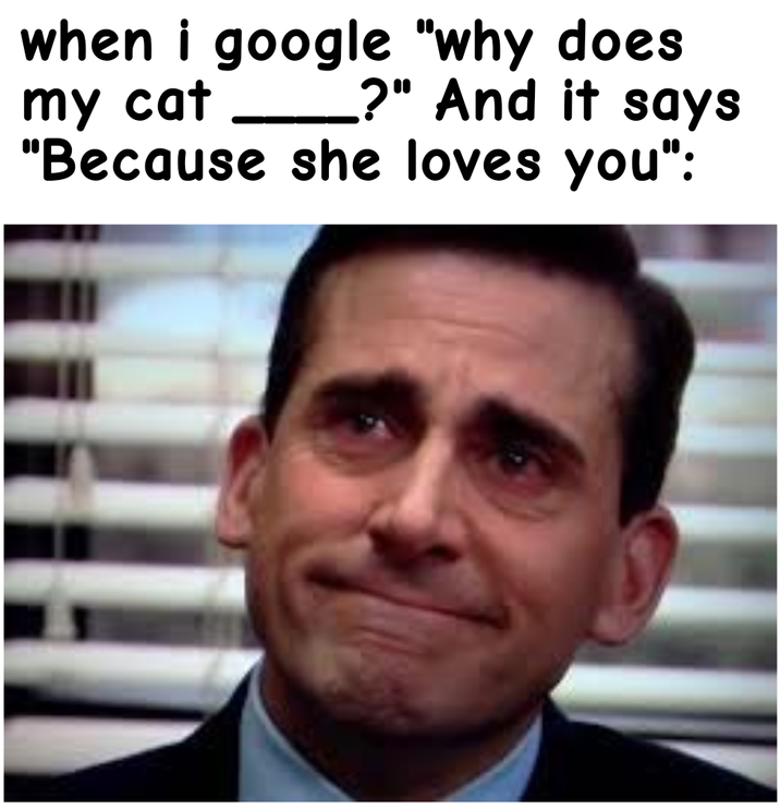 when i google "why does my cat ?" And it says "Because she loves you":