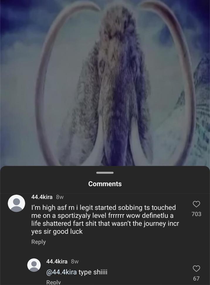 Comments 44.4kira 8w I'm high asf rn i legit started sobbing ts touched me on a sportizyaly level frrrrrr wow definetlu a life shattered fart s--- that wasn't the journey incr yes sir good luck Reply 44.4kira 8w @44.4kira type shiiii Reply 3 67 703