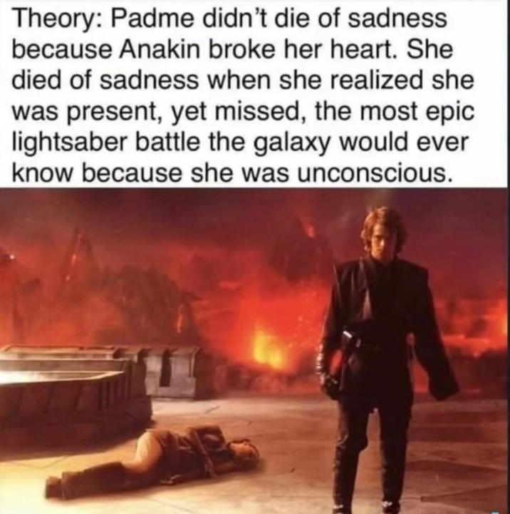 Theory: Padme didn't die of sadness. because Anakin broke her heart. She died of sadness when she realized she was present, yet missed, the most epic lightsaber battle the galaxy would ever know because she was unconscious.