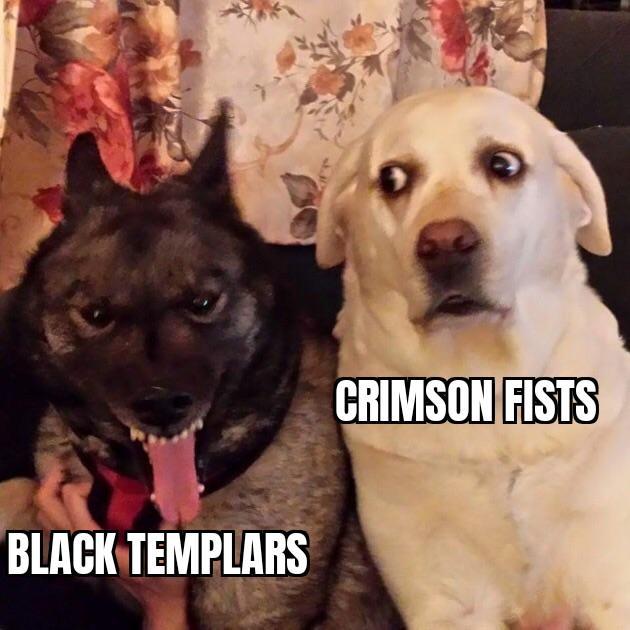 BLACK TEMPLARS CRIMSON FISTS