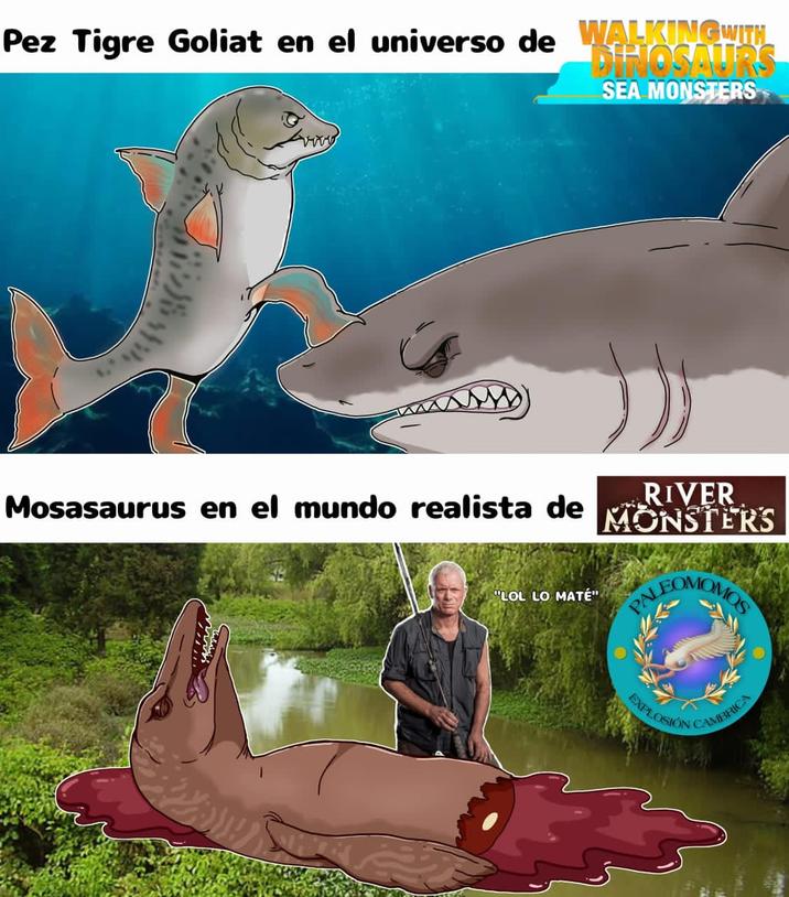 Pez Tigre Goliat en el universo de WALKING WITH DINOSAURS SEA MONSTERS Mosasaurus en el mundo realista de "LOL LO MATÉ" RIVER MONSTERS PAL OMOMOS EXPLOSION CAMBRICA