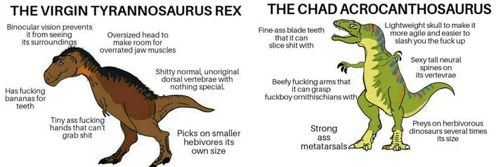 THE VIRGIN TYRANNOSAURUS REX Binocular vision prevents it from seeing its surroundings Oversized head to make room for overrated jaw muscles S----- normal, unoriginal dorsal vertebrae with nothing special. THE CHAD ACROCANTHOSAURUS Fine-ass blade teeth that it can slice s--- with Beefy f------ arms that it can grasp f------ ornithischians with Lightweight skull to make it more agile and easier to slash you the f--- up Sexy tall neural spines on its vertevrae Has f------ bananas for teeth Tiny ass f------ hands that can't grab s--- Picks on smaller hebivores its own size Strong ass metatarsals. Preys on herbivorous dinosaurs several times its size