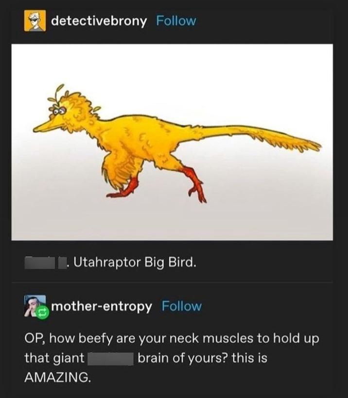 detectivebrony Follow Utahraptor Big Bird. mother-entropy Follow OP, how beefy are your neck muscles to hold up that giant AMAZING. brain of yours? this is