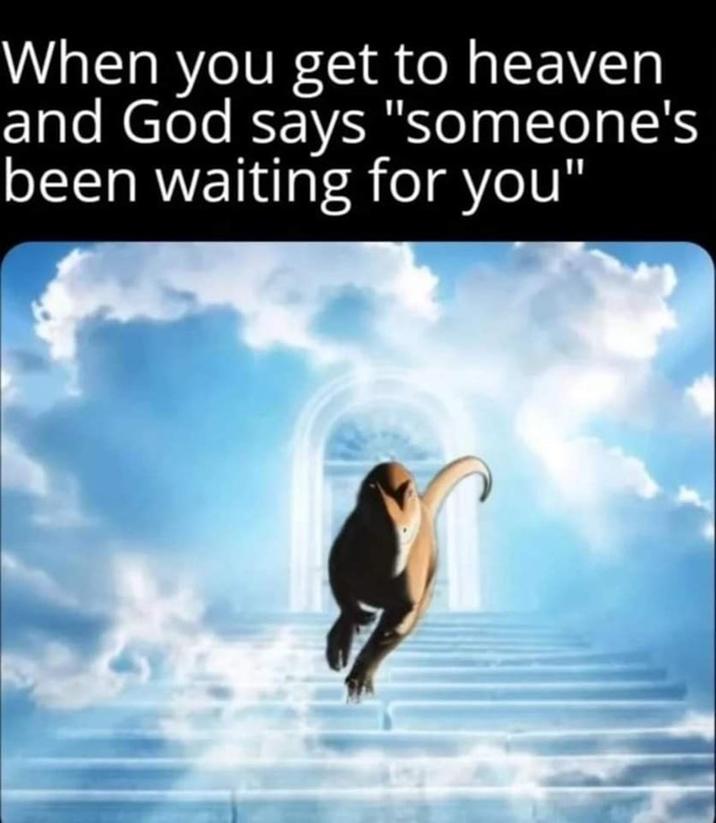 When you get to heaven and God says "someone's been waiting for you"