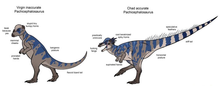 Virgin inaccurate Pachicephalosaurus beak because yes stupid tiny bumpy horns mammal cheeks pronated hands kangaroo posture Chad accurate Pachicephalosaurus practically omnivore cool keratinized spiky horns f------ fangs supinated hands flaccid lizard tail horizontal posture speculative feathers stiff tail