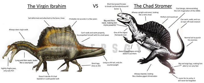 Allways does virgin walk The Virgin Ibrahim VS Short but powerful jaws to break carcharodontosaurid bones The Chad Stromer Allways upright and erect, looking Cool design, demonstrating the rich imagination of the 1900s Sail deformed and attached to the bone, Imao Probably not acurate in a few years Big and thicc neck, making him more powerful Long and thin neck, looks hightly fragile jaws, only eats fish like a sauropod Doesn't decide if it had bipedal or cuadrupedal walk Can't walk and swim properly, he propelled himself with his small paws One of the bigest theropods ever like a retro chad SCL Doesn't need bigass arms, it doesn't use them Short legs, slow as s--- Long as s--- tail, only for counterweight Perfect and round sail Can swim, walk, and run, an epic off-road creature Normal tail to punch his enemies Big and large legs, making him able to run very fast Allways bipedal, looking like a badass gigant dimetrodon Iconic for its rarity, it will never be forgotten