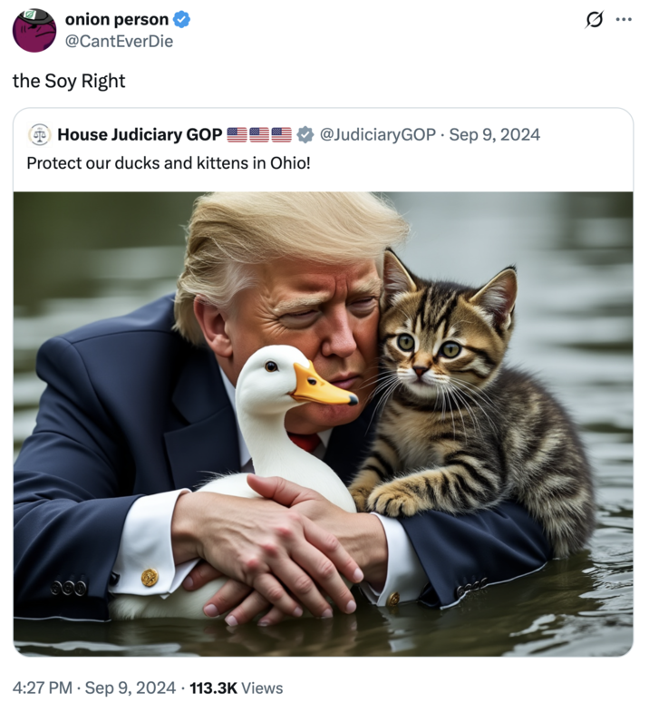 Protect our ducks and kittens in Ohio! A "quote-tweet":https://knowyourmeme.com/memes/quote-retweets-qrts making fun of "Donald Trump Cat and Duck AI Image":https://knowyourmeme.com/memes/donald-trump-cat-and-duck-ai-images based on the "Haitian Immigrants Eating Pets and Geese Hoax":https://knowyourmeme.com/memes/events/haitian-immigrants-eating-pets-and-geese-hoax.