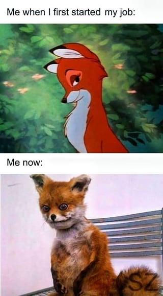 Me when I first started my job: Me now: