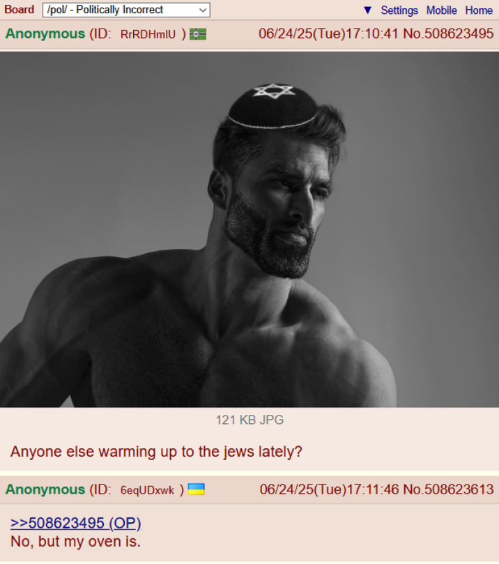 Board /pol/ - Politically Incorrect Anonymous (ID: RrRDHMIU) ▼Settings Mobile Home 06/24/25(Tue)17:10:41 No.508623495 121 KB JPG Anyone else warming up to the jews lately? Anonymous (ID: 6eqUDxwk) >>508623495 (OP) No, but my oven is. 06/24/25(Tue)17:11:46 No.508623613