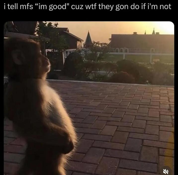 i tell mfs "im good" cuz w-- they gon do if i'm not