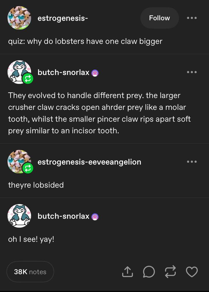 estrogenesis- Follow quiz: why do lobsters have one claw bigger butch-snorlax They evolved to handle different prey. the larger crusher claw cracks open ahrder prey like a molar tooth, whilst the smaller pincer claw rips apart soft prey similar to an incisor tooth. estrogenesis-eeveeangelion theyre lobsided butch-snorlax oh I see! yay! 38K notes 10 ♡