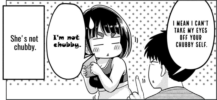 She's not chubby. I'm not chubby. I MEAN I CAN'T TAKE MY EYES OFF YOUR CHUBBY SELF.