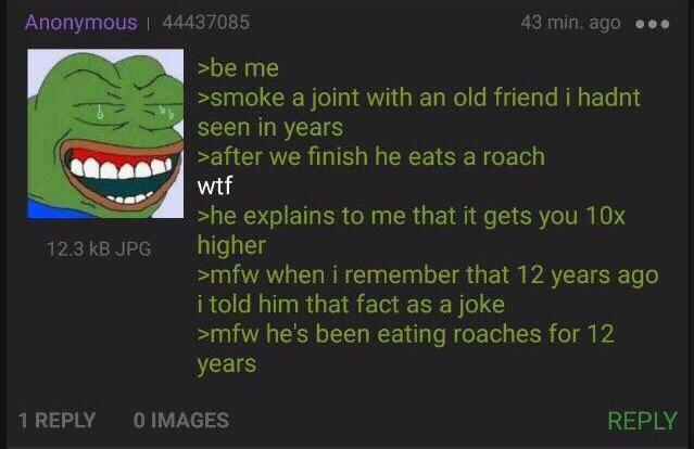 Anonymous 44437085 12.3 KB JPG >be me 43 min. ago ... >smoke a joint with an old friend i hadnt seen in years >after we finish he eats a roach w-- >he explains to me that it gets you 10x higher >mfw when i remember that 12 years ago i told him that fact as a joke >mfw he's been eating roaches for 12 years 1 REPLY O IMAGES REPLY